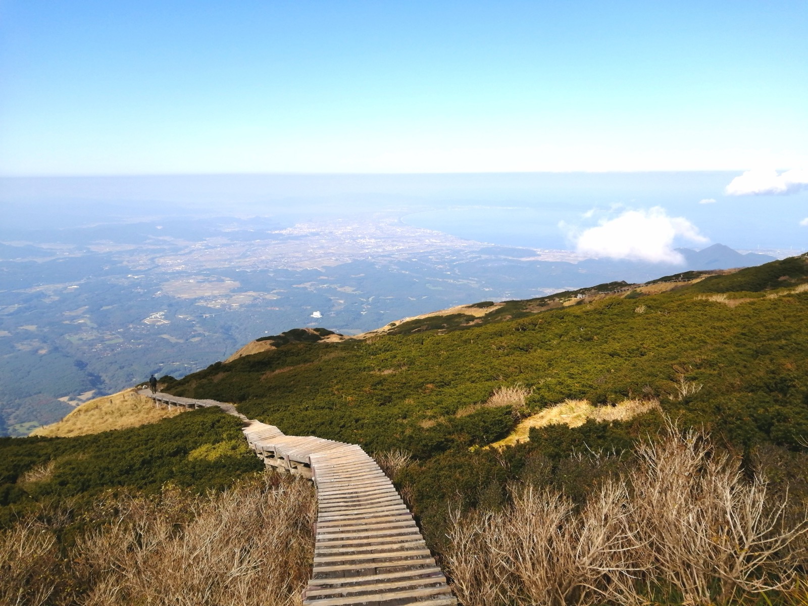 大山の登山道